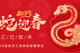 辭舊迎新，蛇舞華章丨深圳容金科技全體員工祝您新春快樂！